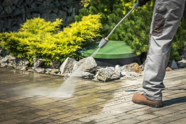 Best Gutter Cleaning  in St Peter, WI
