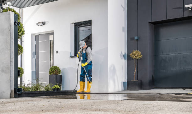 Best Animal Enclosure Cleaning  in St Peter, WI